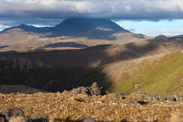 a herd of sheep standing on top of a mountain