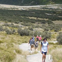 a group of people walking down a dirt road