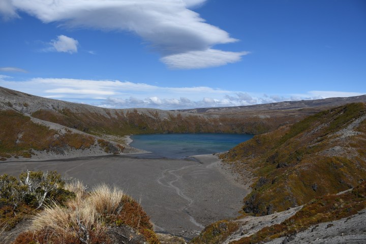 a close up of a hillside next to a body of water
